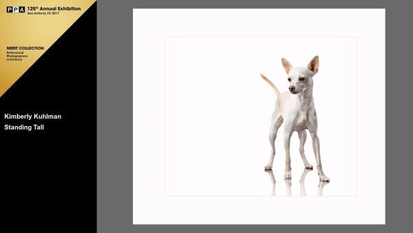 Standing Tall IPC 2016 Chihuahua Rescue