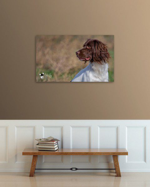 Metal portrait of a Liver and English Springer Spaniel hanging over a bench.