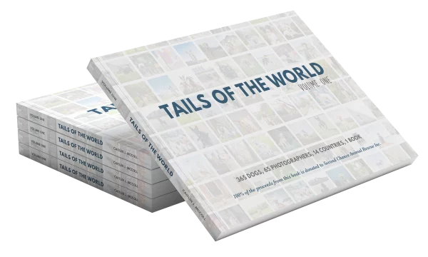 Stack of Tails of the World Books