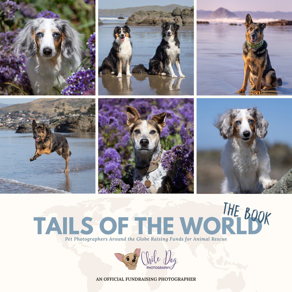 Shout out to Chile Dog Photography's participation in Tails of the World - The Book 2022