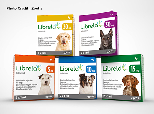 Photograph of European packaging of Librela, a monoclonal antibody treatment for OA pain in dogs.