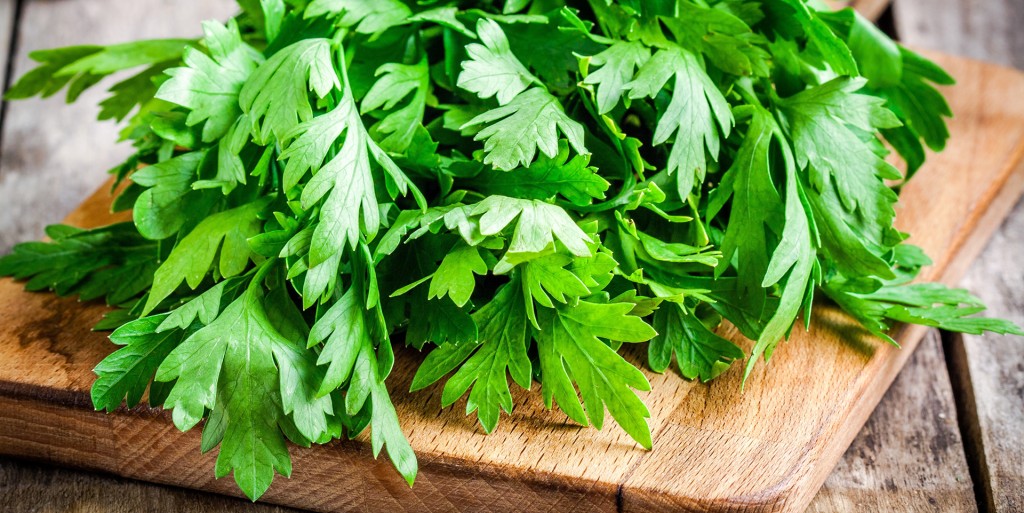 fresh italian parsley leaves on a cutting board - Dog-safe Shamrock Shake Smoothie recipe