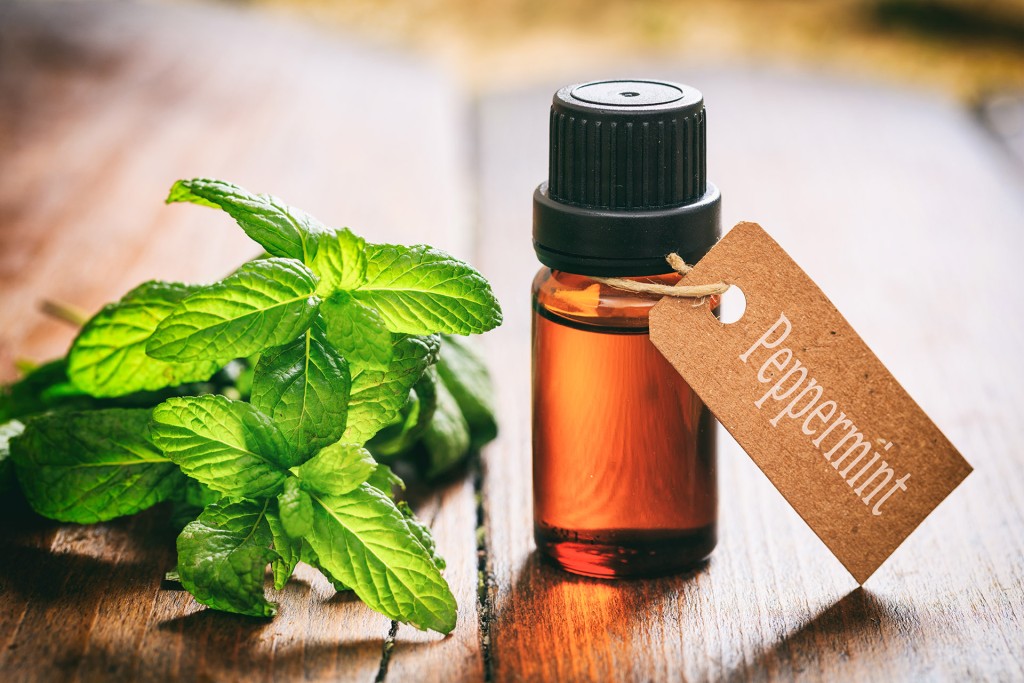 Peppermint leaves and a bottle of peppermint essential oil