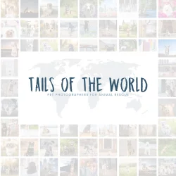 Tails of the World - The Book Logo 2023