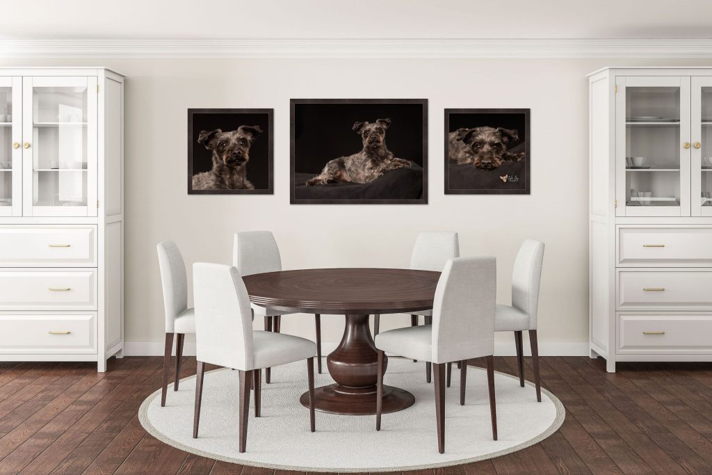 A white modern dining room featuring three black background fine art portraits of Romeo, a Yorkie Poo.